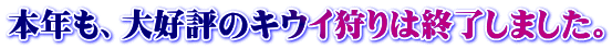 本年も、大好評のキウイ狩りは終了しました。
